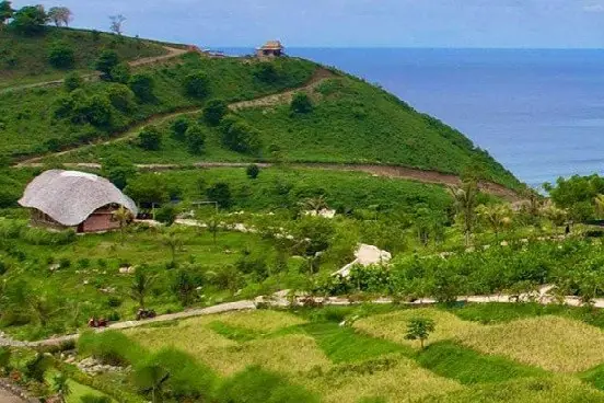 The organic farm terraces above the sea · not a render